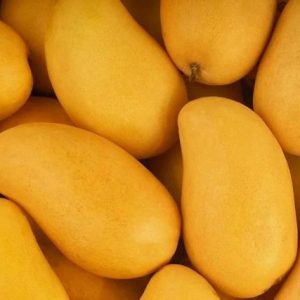 Mango Ataulfo